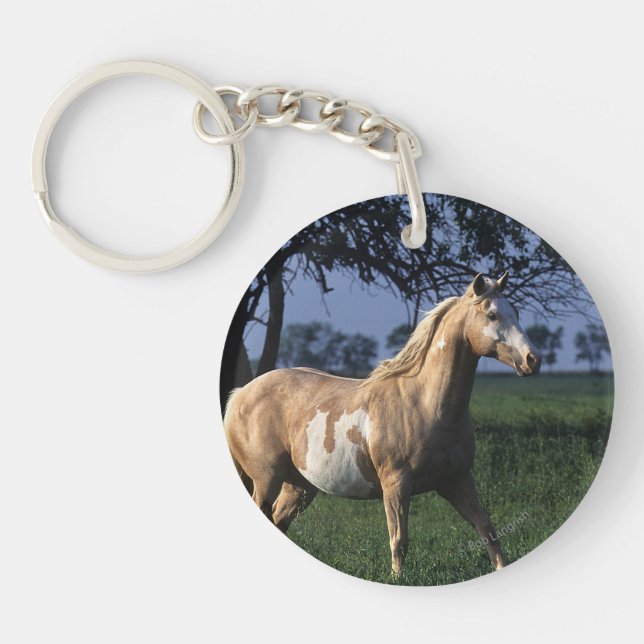 Paint Horse Standing 2 Key Ring (Front)