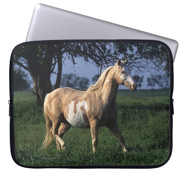 Paint Horse Standing 2 Laptop Sleeve (Front)