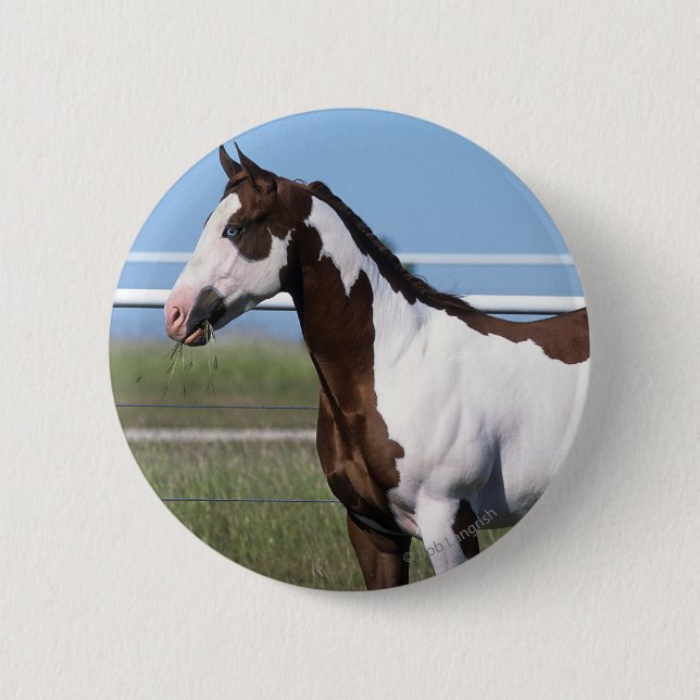 Paint Horse Standing 6 Cm Round Badge (Front)