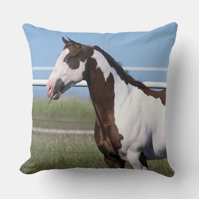 Paint Horse Standing Cushion (Front)