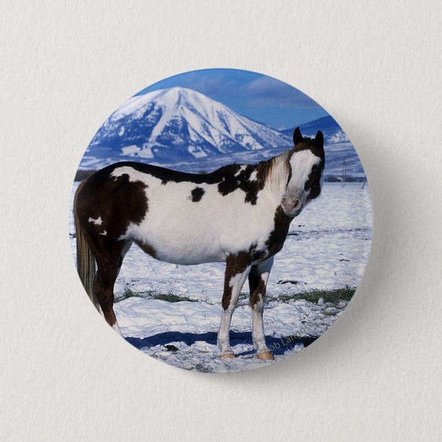 Paint Horse Standing in the Snow 6 Cm Round Badge (Front)