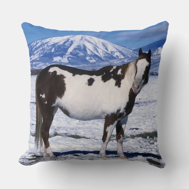 Paint Horse Standing in the Snow Cushion (Front)