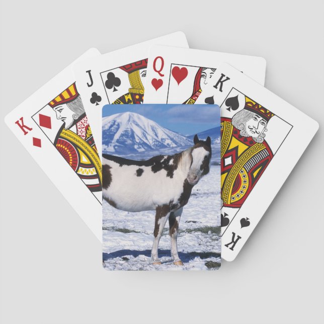 Paint Horse Standing in the Snow Playing Cards (Back)