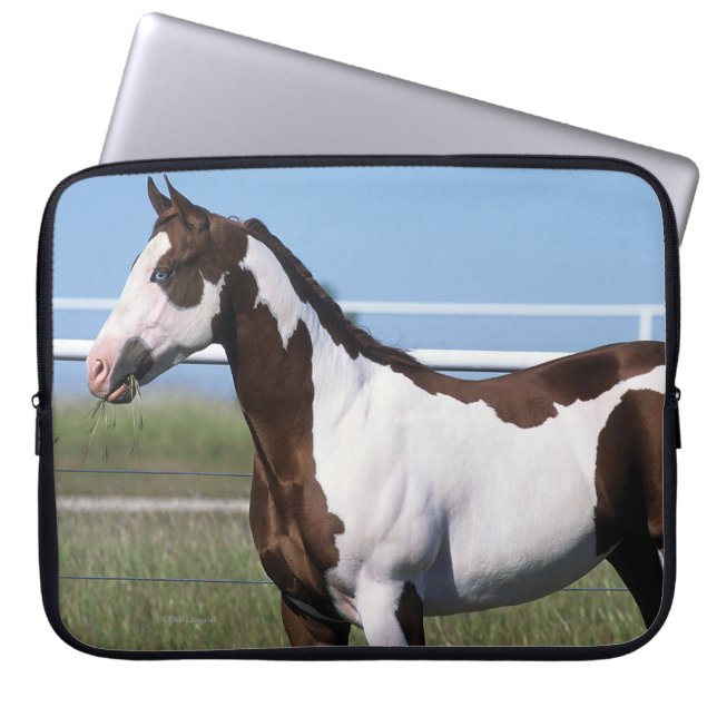Paint Horse Standing Laptop Sleeve (Front)