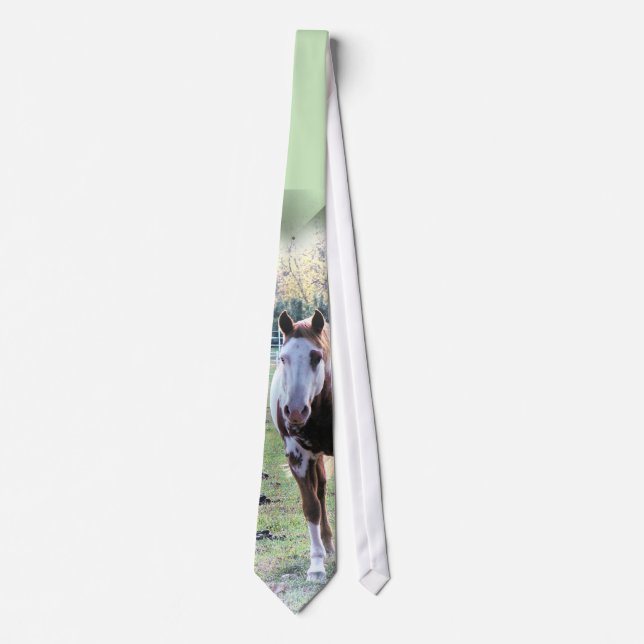 Paint Horse Tie for horse lovers (Front)