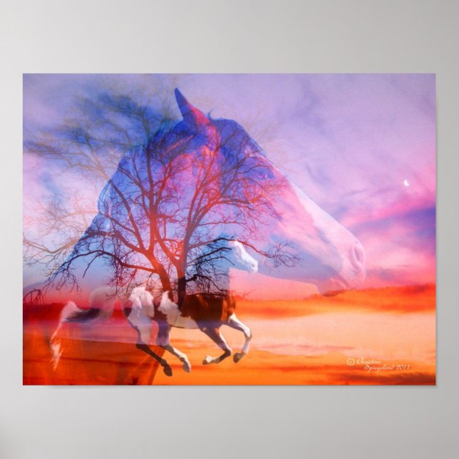 Paint Horse Tree Dreams Poster (Front)