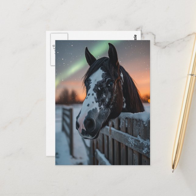 Paint Horse Winter Northern Lights Postcard (Front/Back In Situ)