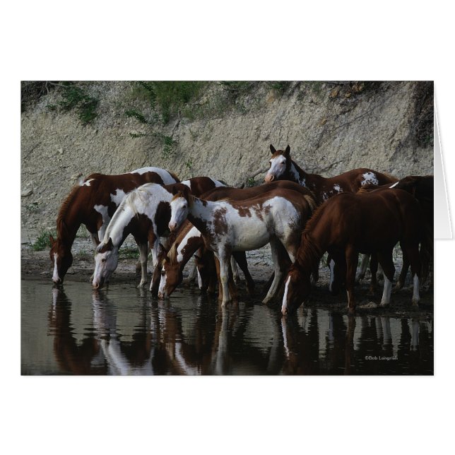 Paint Horses Drinking (Front Horizontal)