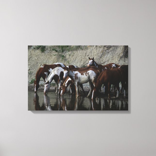Paint Horses Drinking Canvas Print (Front)