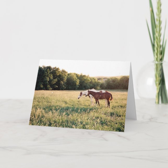 Paint Horses in Pasture Card (Front)