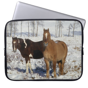 Paint Horses in the Snow Laptop Sleeve