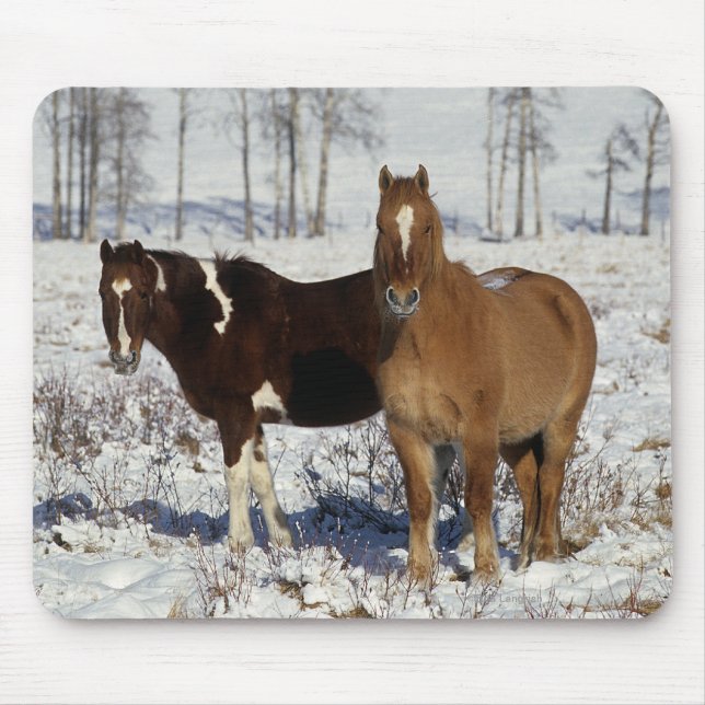 Paint Horses in the Snow Mouse Pad (Front)