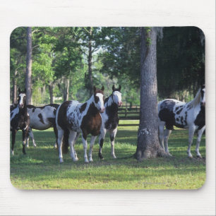 Paint Horses in the Trees Mouse Pad