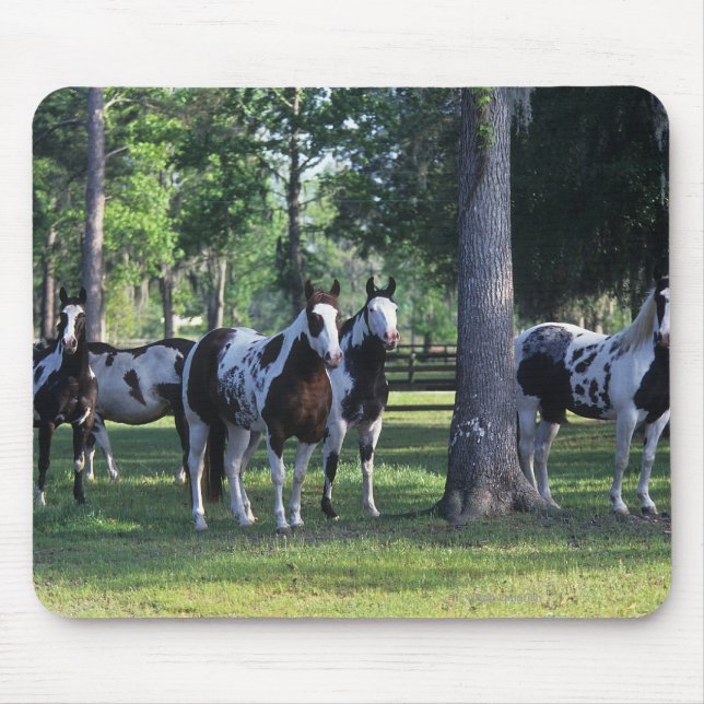 Paint Horses in the Trees Mouse Pad (Front)