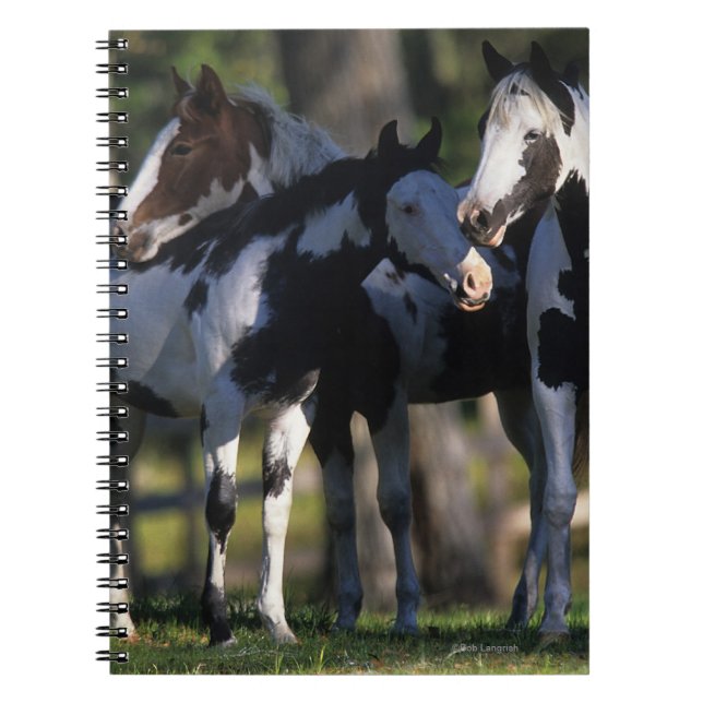 Paint Horses Spiral Notebook (Front)