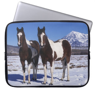 Paint Horses Standing in the Snow Laptop Sleeve