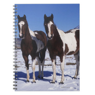 Paint Horses Standing in the Snow Spiral Notebook