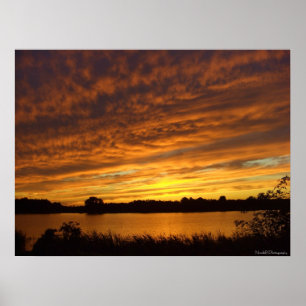 Paint it orange poster