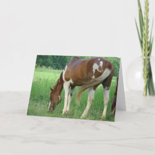 Paint Mare Card