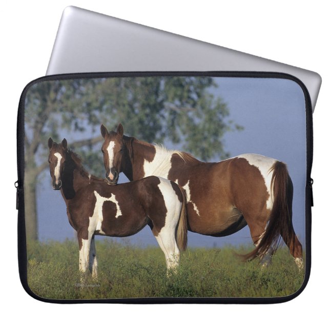 Paint Mare & Foal Laptop Sleeve (Front)