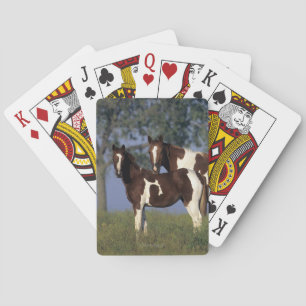 Paint Mare & Foal Playing Cards