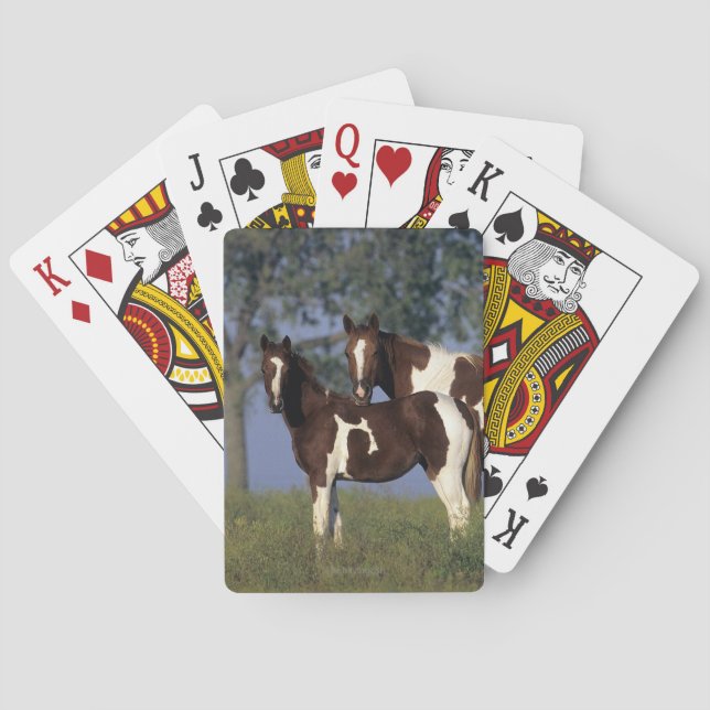 Paint Mare & Foal Playing Cards (Back)