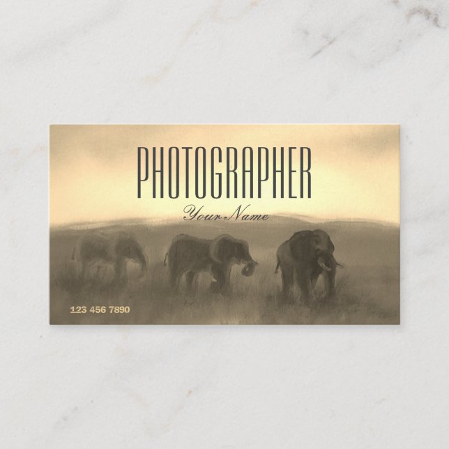 Paint Photo Picture Safari Sunset Photographer Business Card (Front)