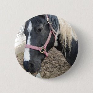 Paint Pinto Horse 6 Cm Round Badge