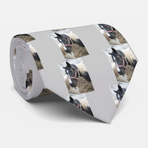 Paint Pinto Horse Tie