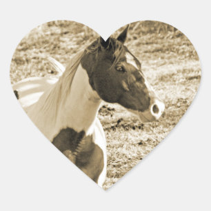 Paint Pony Heart Sticker