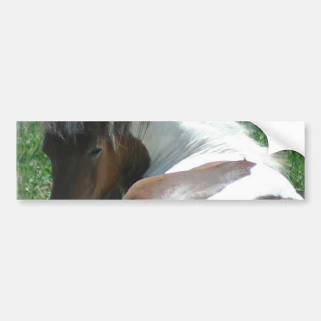 Paint Pony Resting Bumper Sticker. Sticker (Front)