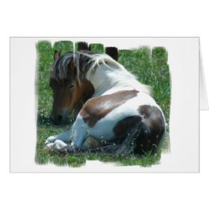 Paint Pony Resting Card