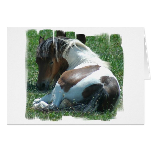 Paint Pony Resting Card (Front Horizontal)
