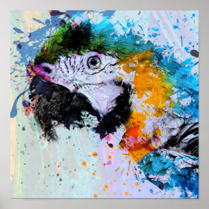 Paint Splash Parrot   Poster Print