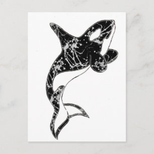 Paint Splatter Orca Art Postcard