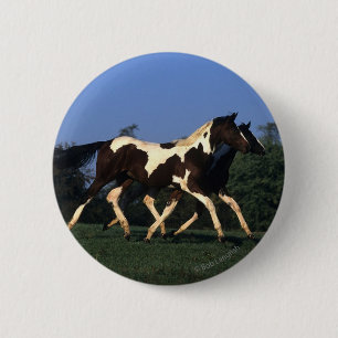 Paint Yearlings Running 6 Cm Round Badge