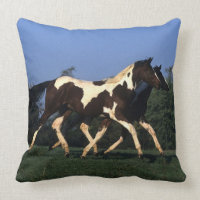 Paint Yearlings Running