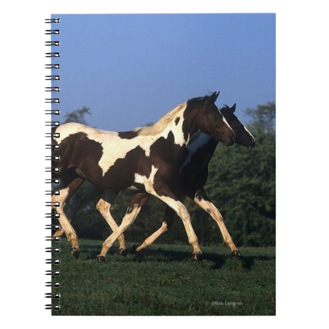 Paint Yearlings Running Notebook (Front)