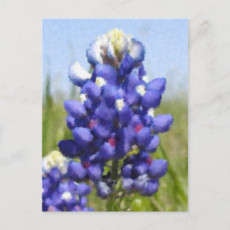 "Painted" Bluebonnet Postcard