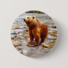 Painted Brown Bear in River Woodland Wildlife