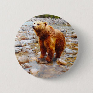 Painted Brown Bear in River Woodland Wildlife 6 Cm Round Badge