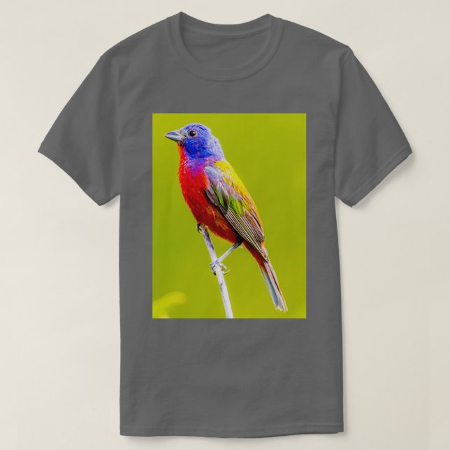 Painted Bunting 1 T-Shirt (Design Front)