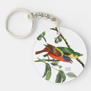 Painted Bunting, Audubon, Birdwatcher Finch Bird, Key Ring