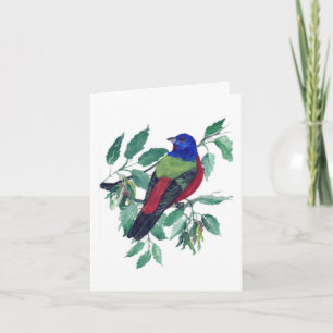 Painted Bunting Greeting Card