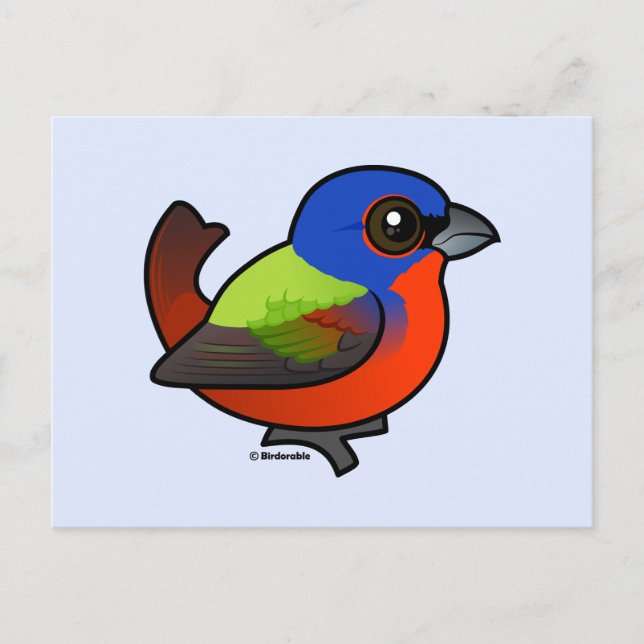 Painted Bunting Postcard (Front)