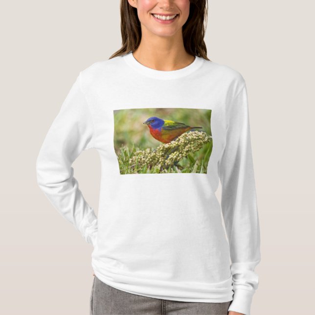 Painted Bunting T-Shirt (Front)