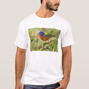 Painted Bunting T-Shirt