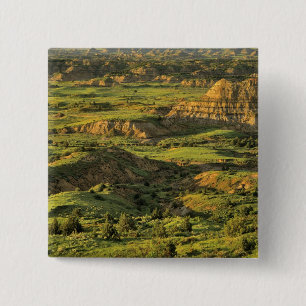 Painted Canyon After Storm in Theodore Roosevelt 15 Cm Square Badge