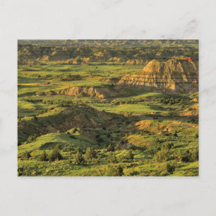 Painted Canyon After Storm in Theodore Roosevelt Postcard