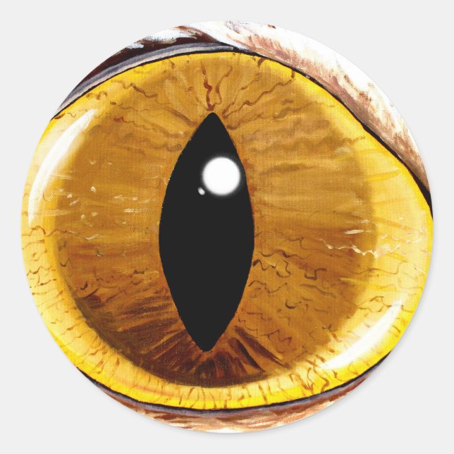 Painted Cat's Eye Classic Round Sticker (Front)